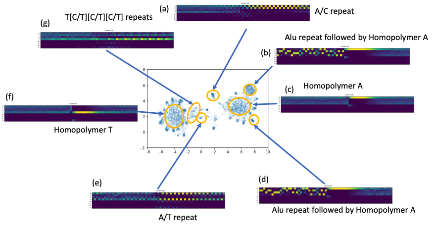 figure6